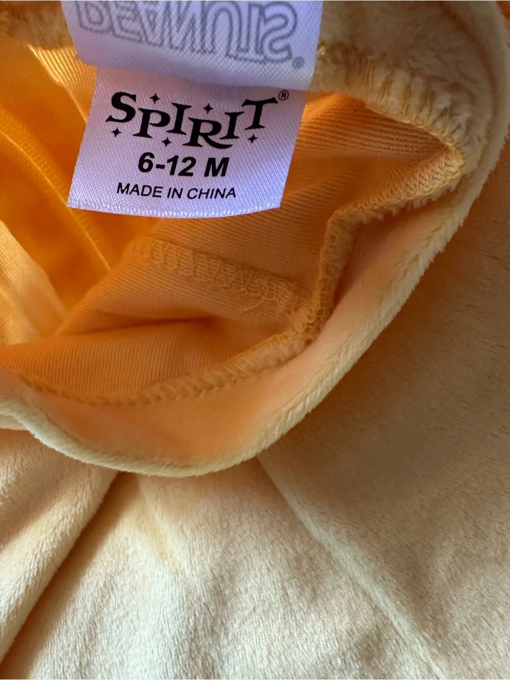 Spirit peanuts woodstock